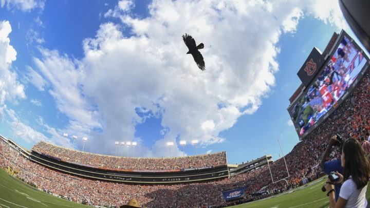Homecoming: Your weekend guide to Auburn Football